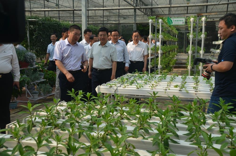 Công nghệ giúp nông dân, gieo hạt giống.